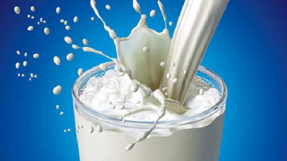 Dünya Süt Günü Etkinlikleri Merkez Mehmet Akif Ersoy Ortaokulunda Gerçekleştirildi.
